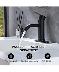 Greenspring Single Hole Single-Handle Bathroom Faucet in Matte Black