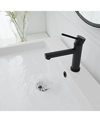 Greenspring Single Hole Single-Handle Bathroom Faucet in Matte Black