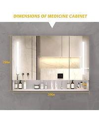 Casainc 39×28 Inch Aluminum Bathroom Mirror Cabinet with Led Lights and Storage Compartments