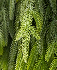 Glitzhome Christmas Greenery Dripping Teardrop and Matched Garlands, Set of 3