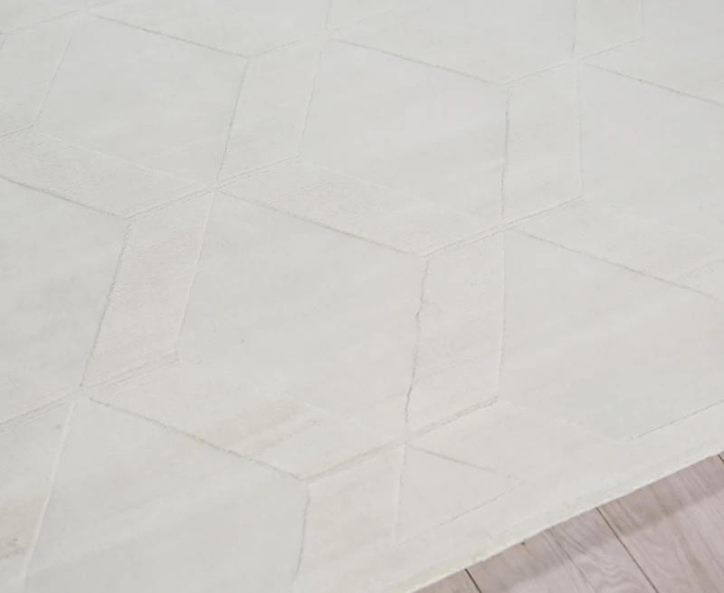 Exquisite Rugs Brunello Modern 6735 4'0"x6'0" Area Rug