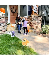Big Dot of Happiness Halloween Pets - Assorted Birthday Party Goodie Boxes