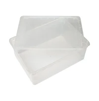 Basicwise Plastic Storage Container, Shoe box