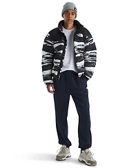 The North Face Men's Evolution Simple Dome Pants