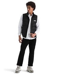 The North Face Men's Hydrenalite Down Vest