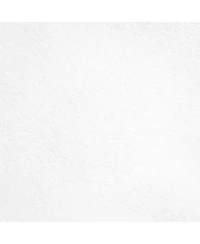 Westcott 5 x 7' White X-Drop Backdrop Kit, with X-Drop Stand and Travel Case
