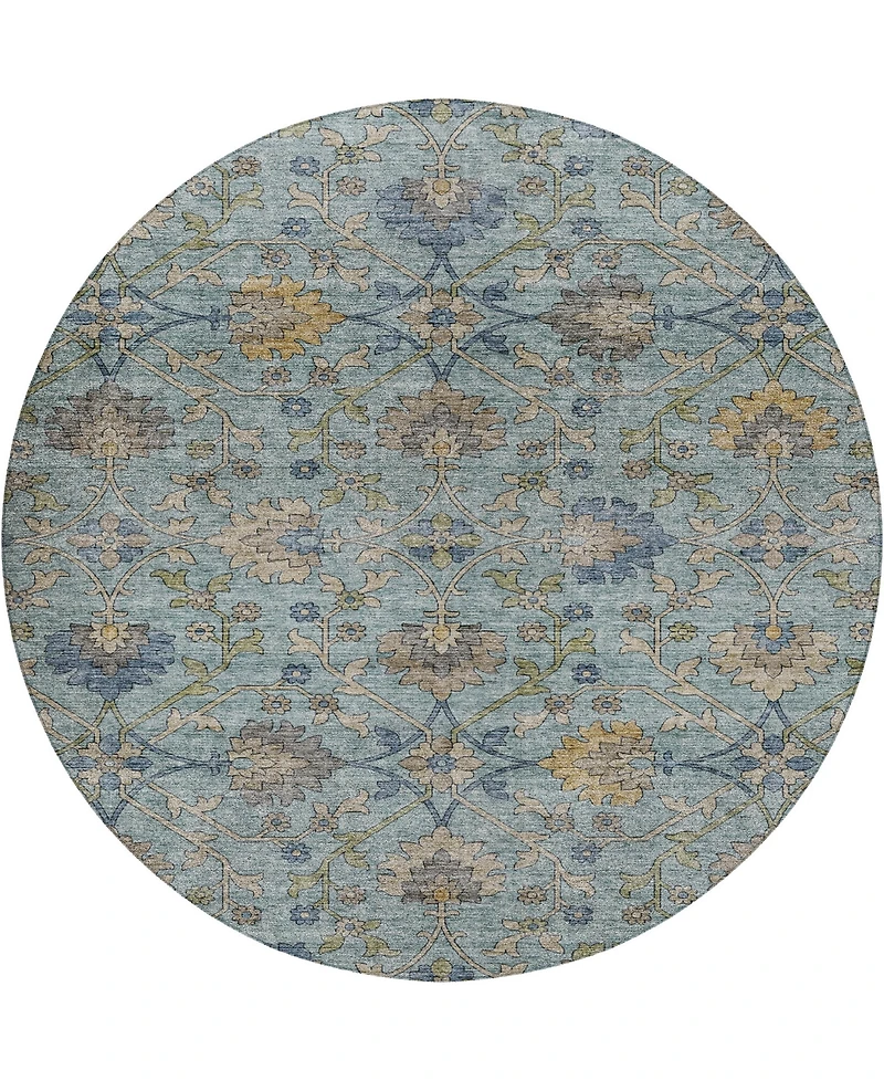 Dalyn Silk Road Washable SR1 8'x8' Round Area Rug
