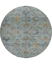 Dalyn Silk Road Washable SR1 8'x8' Round Area Rug