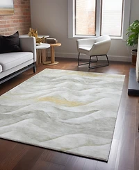 Dalyn Pacifica Washable PA3 3'x5' Area Rug