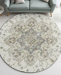Dalyn Silk Road Washable SR6 8'x8' Round Area Rug