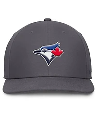Nike Men's Gray Toronto Blue Jays Pro Performance Snapback Hat