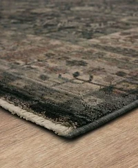 Karastan Echo Grasole Area Rug