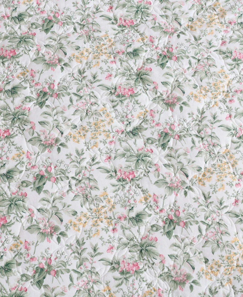 Laura Ashley Bramble Floral Cotton 3-Pc. Quilt Set, King