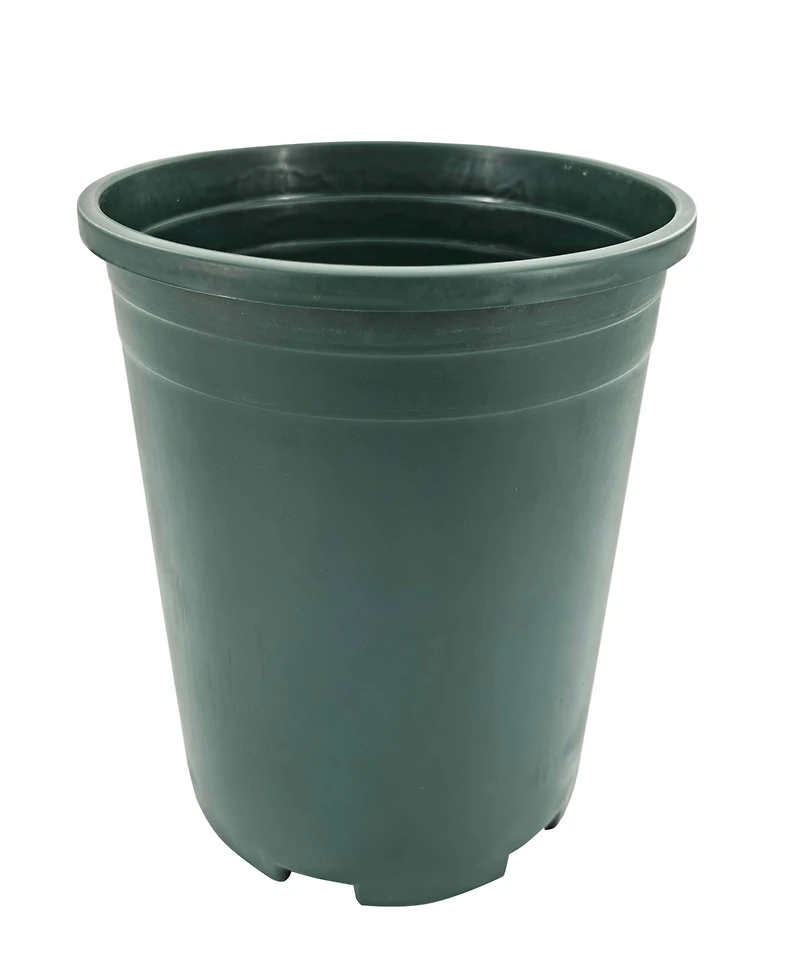 Puleo 22" Pre-Lit Artificial Potted Poinsettias