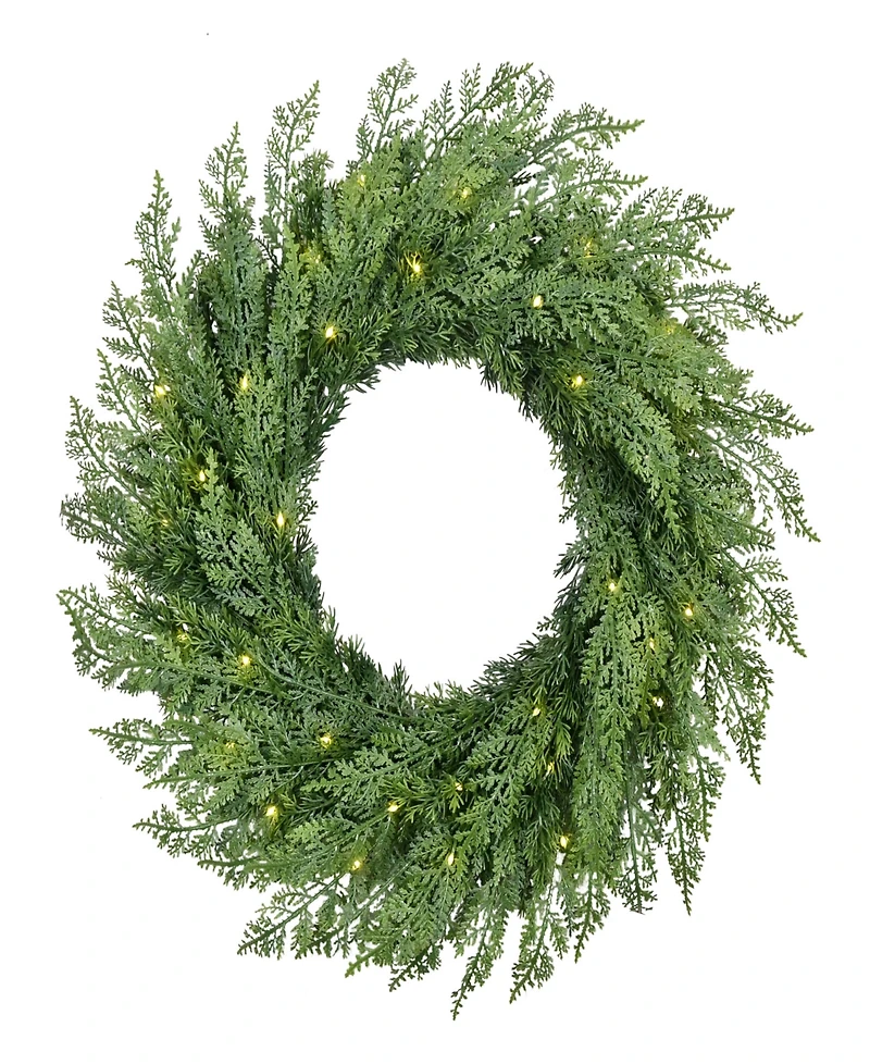 Puleo 24" Pre-Lit Artificial Flocked Wreath