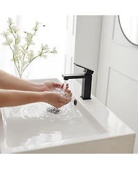 Greenspring Single Hole Single-Handle Bathroom Faucet with drain in Matte Black