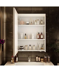Hauschen Home 32x24 inch Led Lighted Medicine Cabinet with Mirror, Moisture-Resistant Wood, Stepless Dimmable, 3000K/5500K, Defogger, Adjustable Shelf