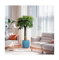 Chic Crate Modern Ceramic Planter Pots Set of 3 Versatile Indoor/Outdoor Flowerpots with Drainage Holes