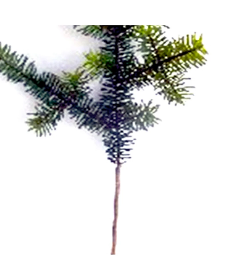 Set of 6 Wintry Green Pine Sprays for Seasonal Decoration