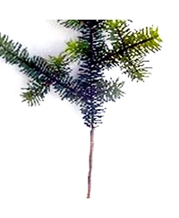 Set of 6 Wintry Green Pine Sprays for Seasonal Decoration