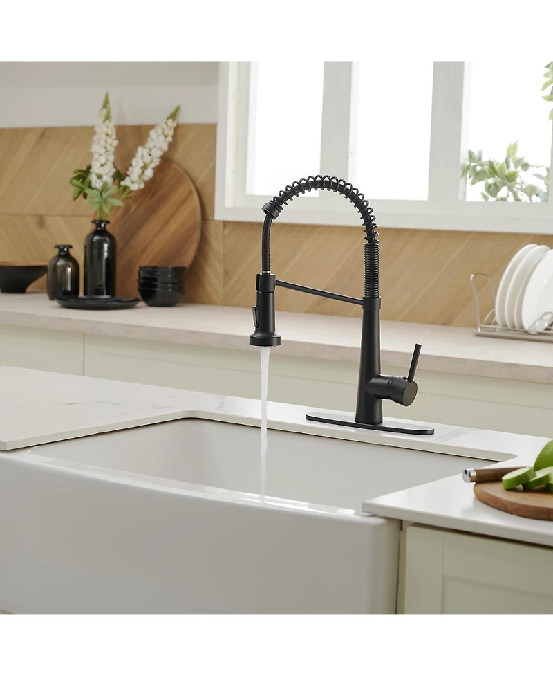 Greenspring Single-Handle Pull-Down Sprayer 2 Spray High Arc Kitchen Faucet With Deck Plate in Matte Black