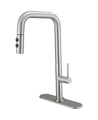 Greenspring Single Handle Pull-Down Sprayer 1 Spray High Arc Kitchen Faucet With Deck Plate in Brushed Nickel