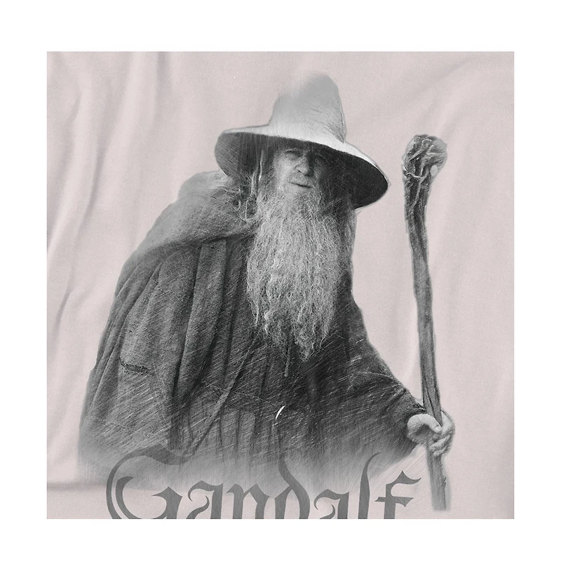 Logovision Men's Lord of The Rings Gandalf Grey T Shirt