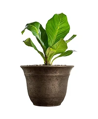 Listo Hc Companies 13-Inch Wide Sierra Planter Round Plastic Planter