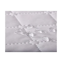Dream Lite I Crib Mattress
