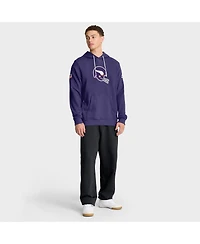 Nike Men's Purple Minnesota Vikings Sideline Standard Issue Alt 2 Dri-fit Hoodie