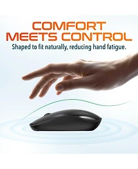 Delton S15 Wireless Mouse, Noiseless, 2.4GHz Connection (DMS15-wb)