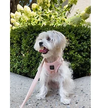 Dogistry City Dog Leash