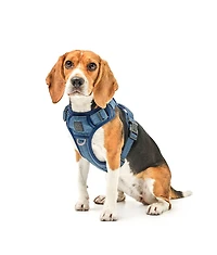 Dogistry The NoMad Adjustable Luxe Harness