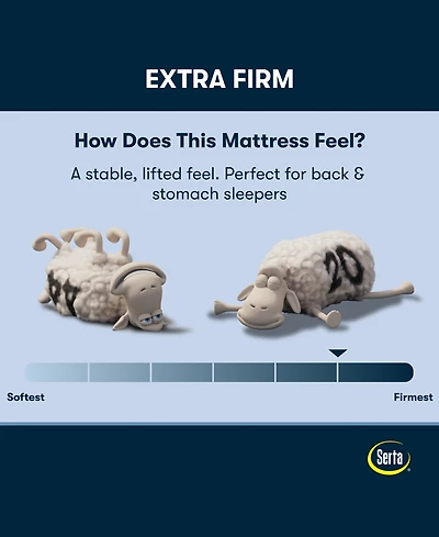 Serta Perfect Sleeper Osiria Rose 12" Extra Firm Tight Top Mattress, Queen