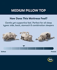 Serta Perfect Sleeper Osiria Rose 14" Medium Pillow Top Mattress, Queen
