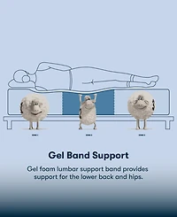 Serta Perfect Sleeper Cobra Lily 10.5" Plush Tight Top Mattress Set, Queen
