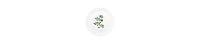 Vietri Aria Holiday Salad Plate