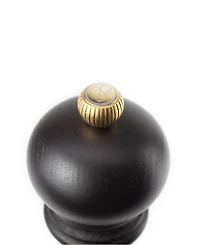 Peugeot Paris u'Select Zirlion 9" Salt Mill