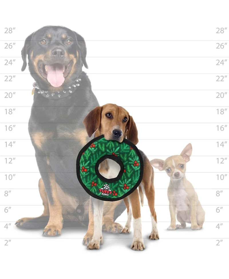 Tuffy Medium Ring Wreath 2 Pack, Durable Plush Squeaky Dog Toy