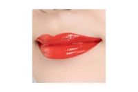 Paul & Joe Lipstick (Refill) 22