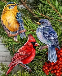 Designocracy Winter Birds Wood Clip-on Ornaments, Set 3