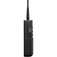 Sony Uwp-d, 1 Wireless Microphone System, Black, One Size (Uwp-D21/14)