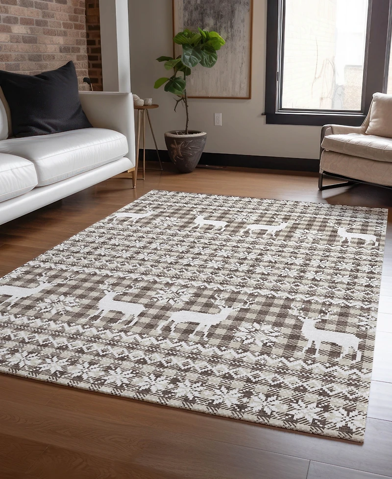 Addison Holiday Washable Indoor/Outdoor ACN1820 10'x14' Area Rug