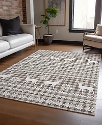 Addison Holiday Washable Indoor/Outdoor ACN1820 10'x14' Area Rug