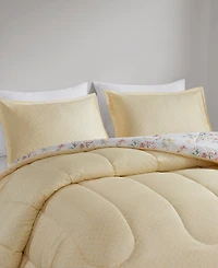 Addison Park Charlotte Reversible 3-Pc. Comforter Sets