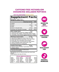 Vitauthority Multi Collagen Burn, Tropical Punch, 325gm