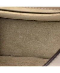 Pre-Owned Chloe Small Nile Crossbody Bag Leather