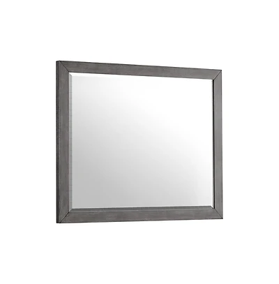 Intercon Dresser Mirror in Brushed Brindle