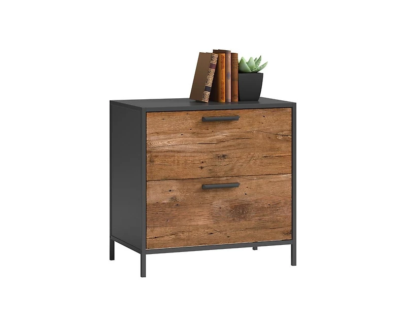 Casainc Storage File Cabinet with 2 Drawers