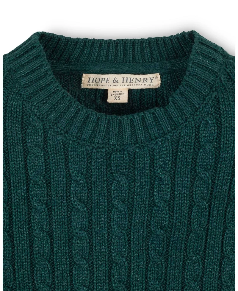 Hope & Henry Baby Boys Organic Cable Crewneck Pullover Sweater